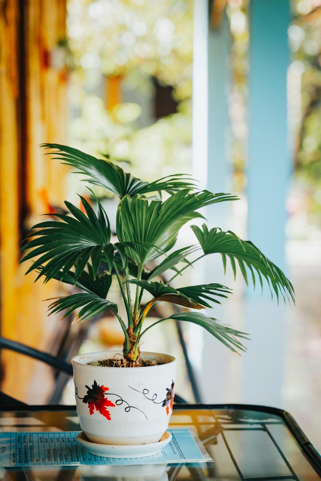 Blue Garden Homestay Ninh Binh Buitenkant foto