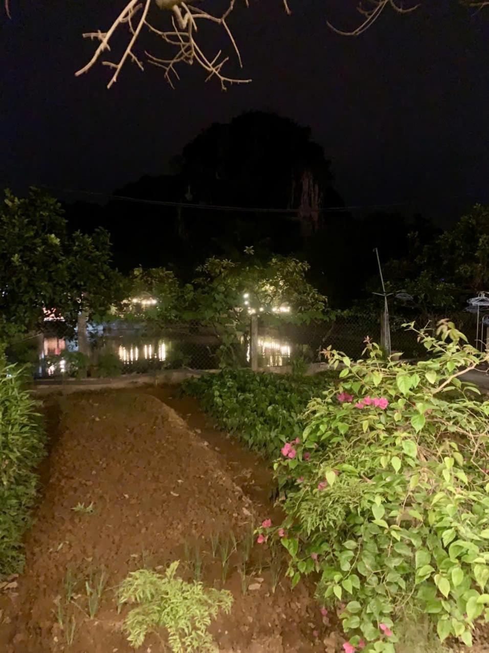 Blue Garden Homestay Ninh Binh Buitenkant foto