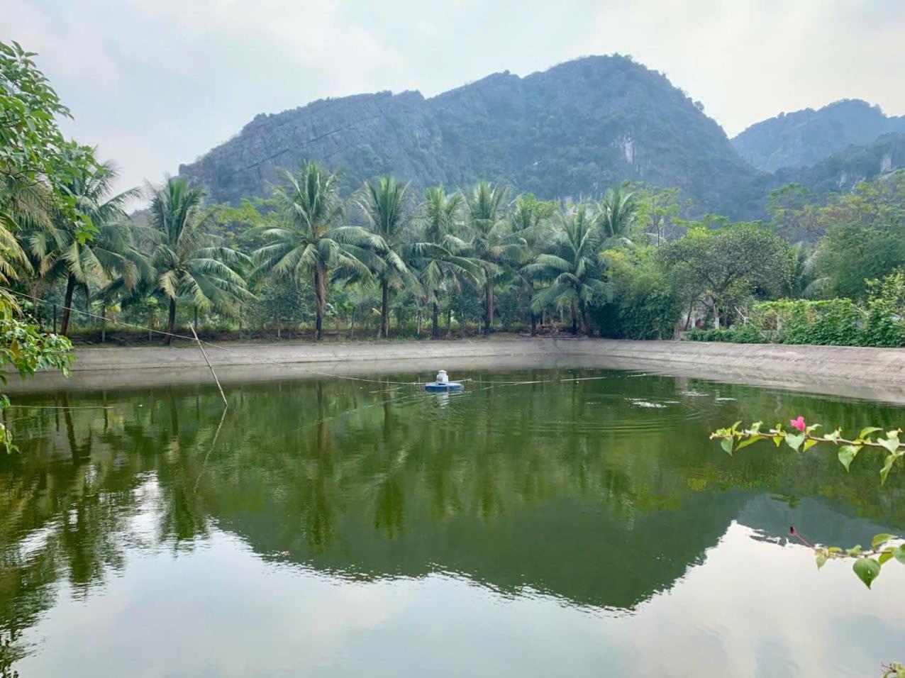 Blue Garden Homestay Ninh Binh Buitenkant foto