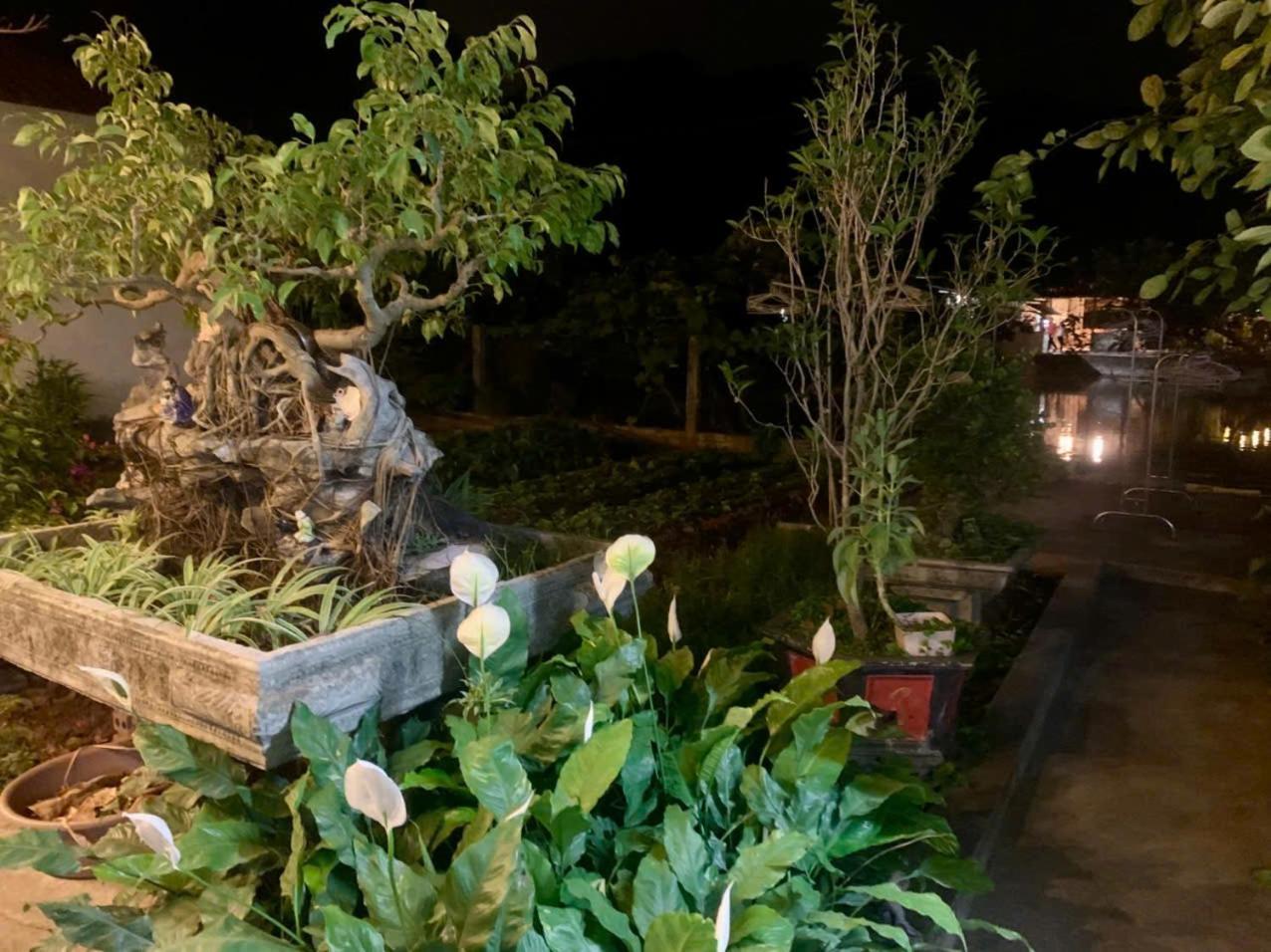 Blue Garden Homestay Ninh Binh Buitenkant foto