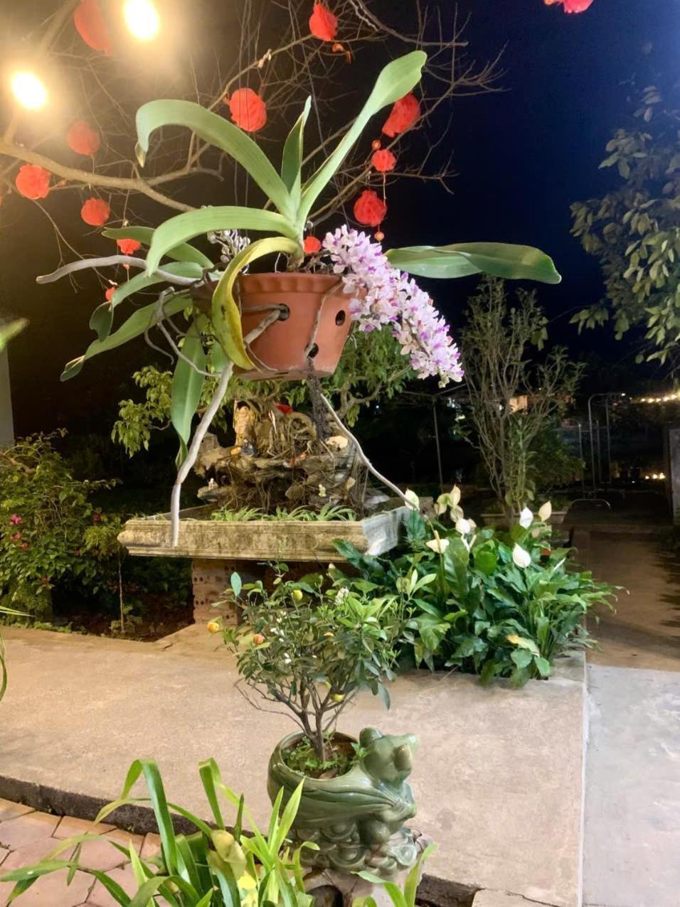 Blue Garden Homestay Ninh Binh Buitenkant foto
