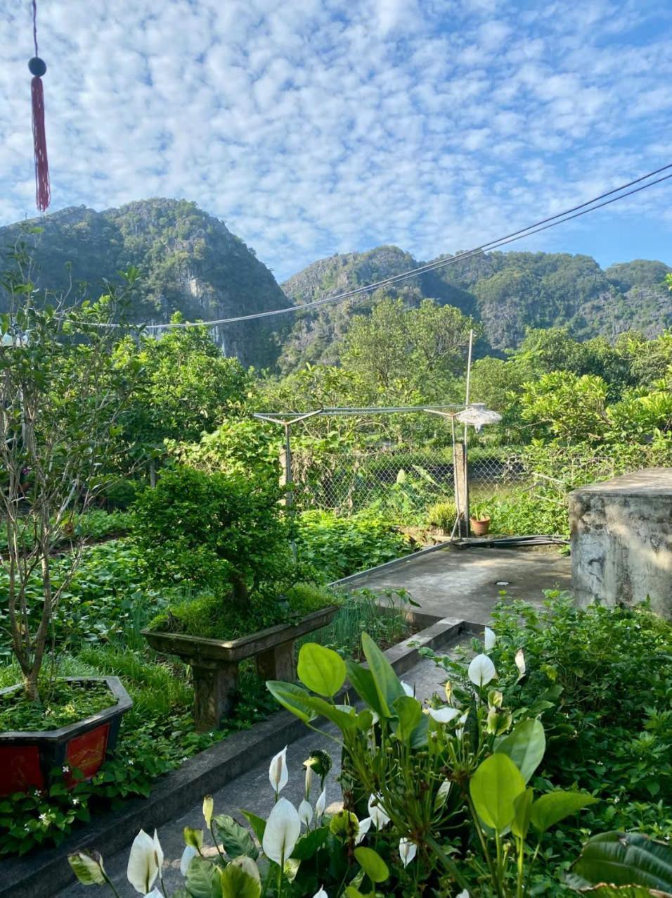 Blue Garden Homestay Ninh Binh Buitenkant foto