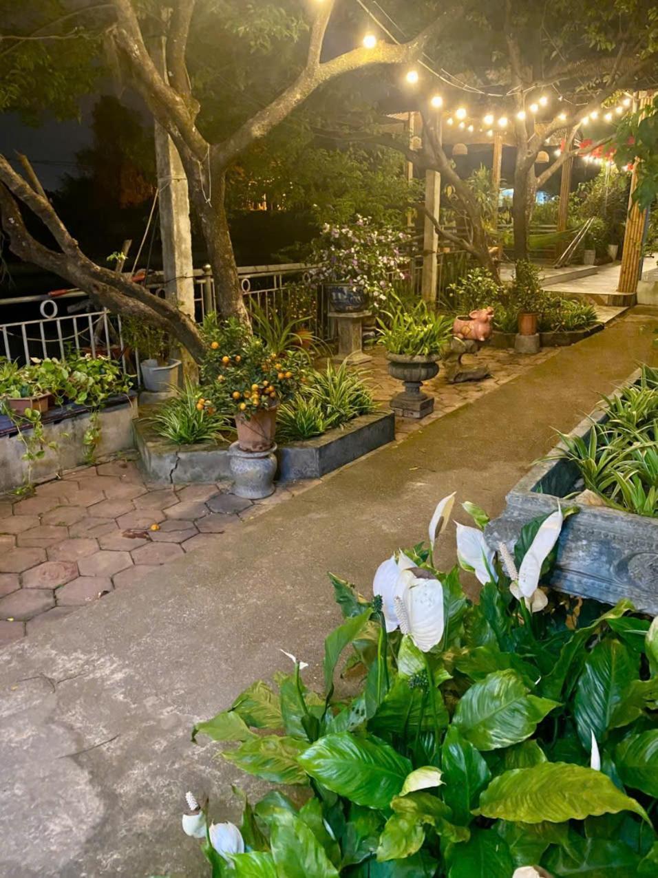 Blue Garden Homestay Ninh Binh Buitenkant foto
