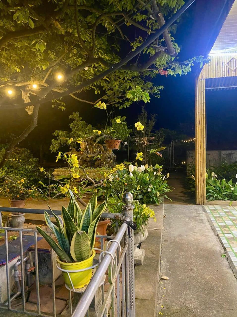 Blue Garden Homestay Ninh Binh Buitenkant foto