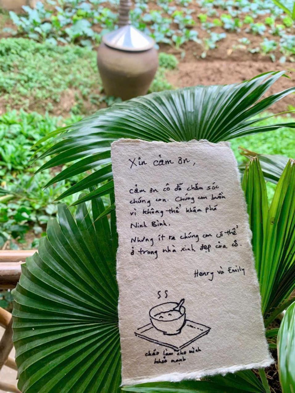 Blue Garden Homestay Ninh Binh Buitenkant foto