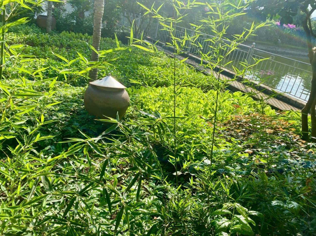 Blue Garden Homestay Ninh Binh Buitenkant foto